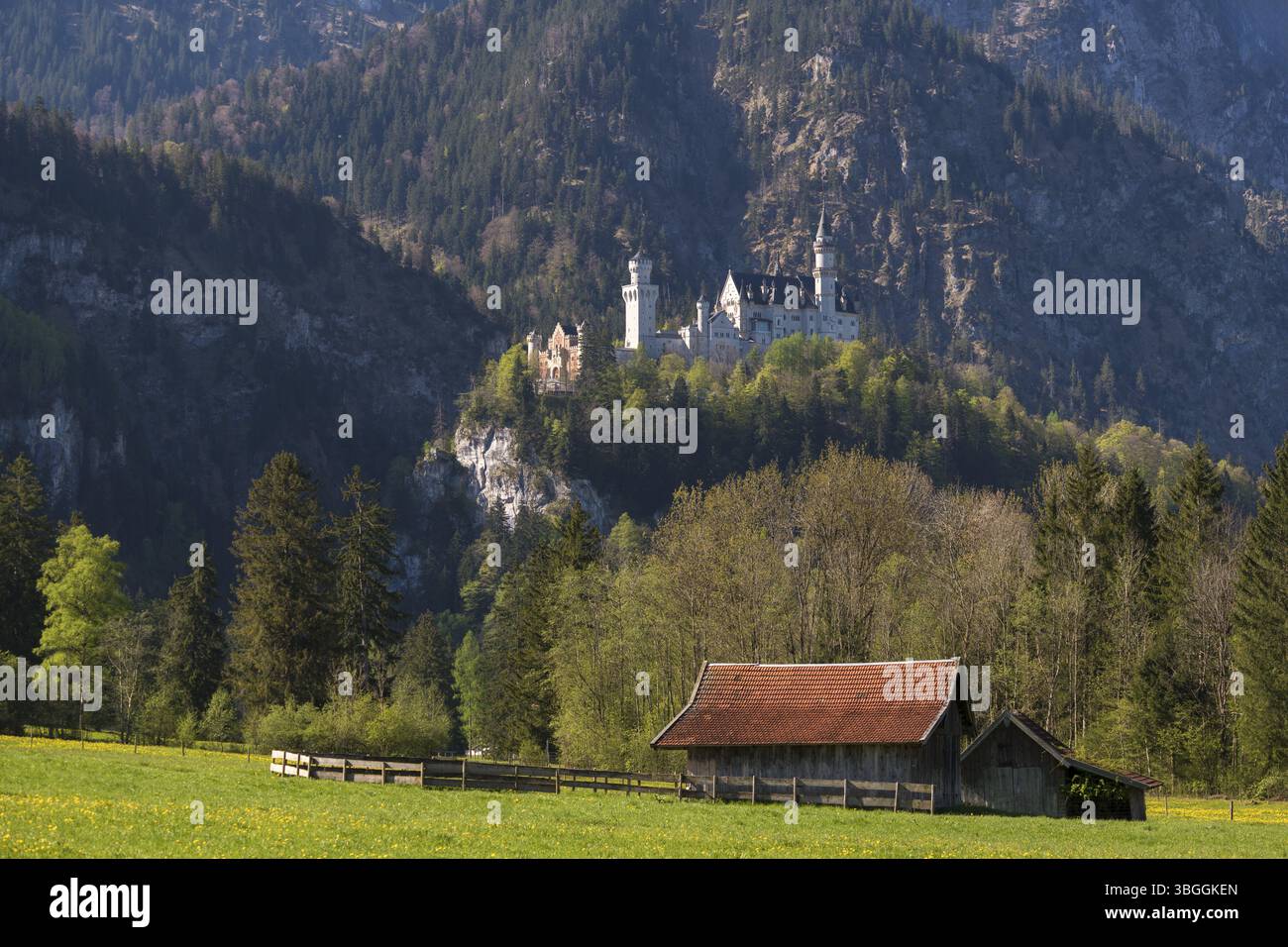 Una capanna su un prato fiorito di fronte a una vasta foresta e un maestoso castello su una montagna, Neuschwanstein, Schwangau vicino a Fuessen, quartiere Ostallgaeu, S. Foto Stock