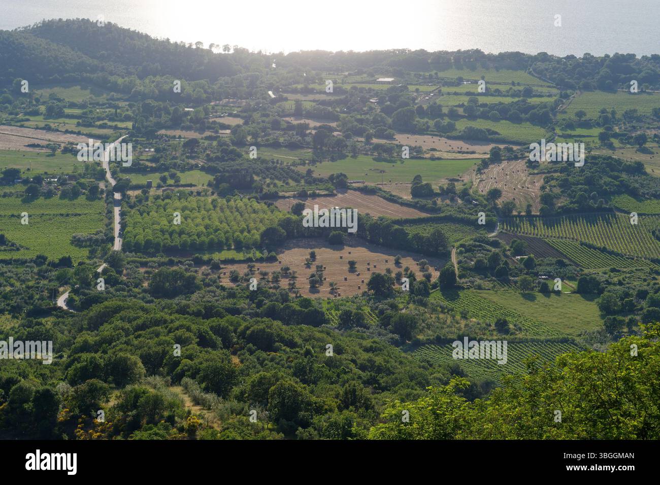 Veduta aerea di terreni agricoli pieni di balle di fieno e di una strada che porta al Lago di Bolsena a Montefiascone, regione Lazio, Italia. 3 giugno 2025 Foto Stock