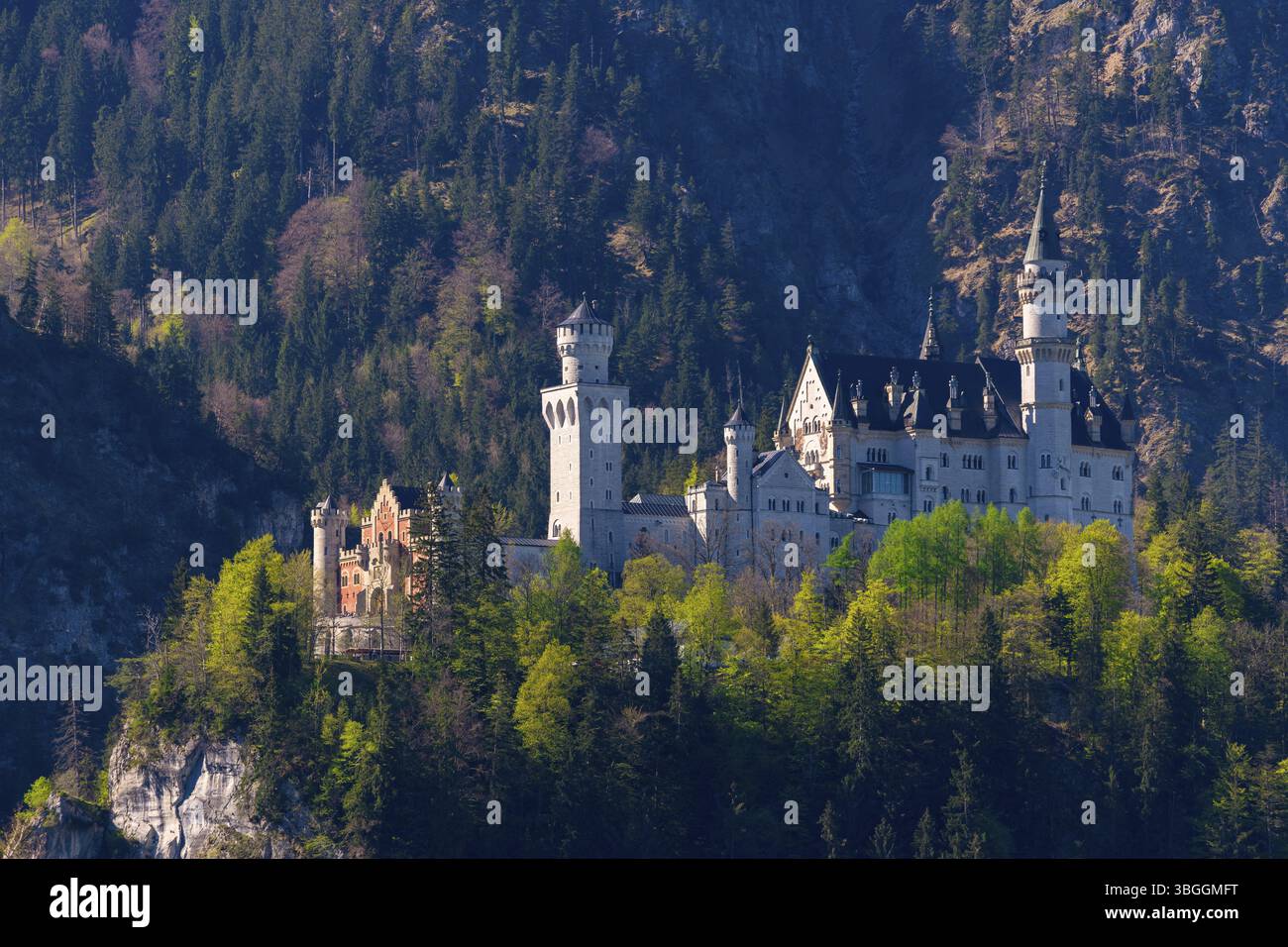 Un maestoso castello torreggia sopra scogliere boscose, circondato da natura incontaminata e montagne, Neuschwanstein, Schwangau vicino a Fuessen, Ostallgaeu dis Foto Stock