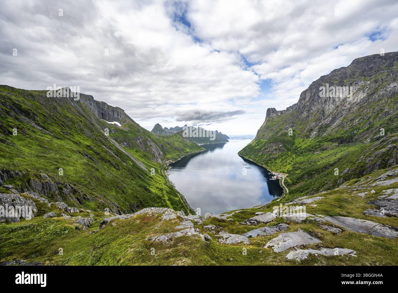 Vista del fiordo e delle montagne di Oyfjorden, paesaggio dei fiordi con vette, escursione al monte Barden, Senja, Norvegia, Europa Foto Stock