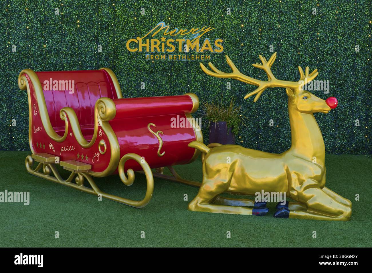Slitta rossa di Natale e renne dorate di fronte a una siepe verde con i saluti natalizi, Betlemme, Tauranga, Bay of Plenty, North Island, nuovo Zea Foto Stock