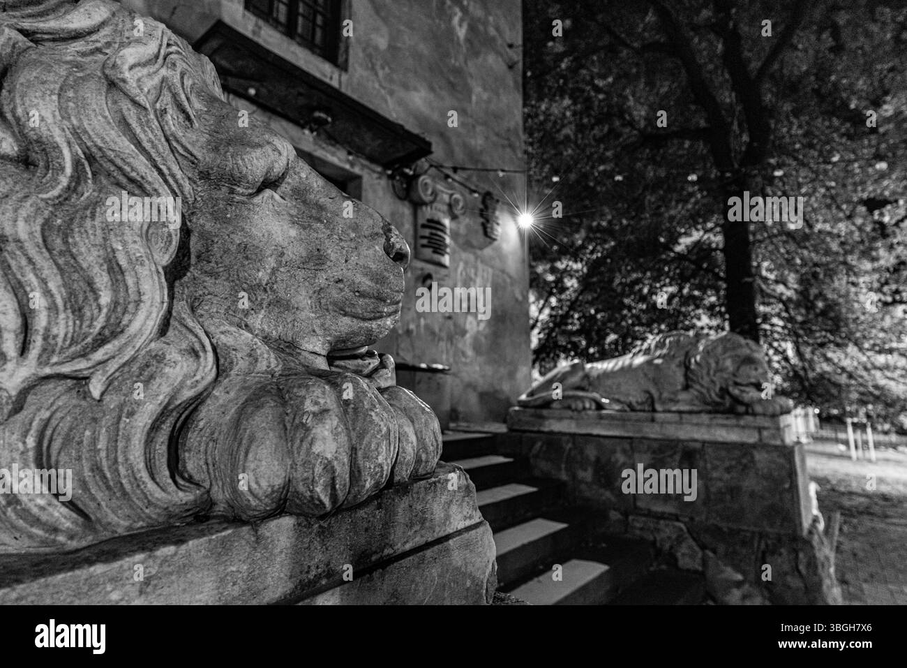 Leopoli, Ucraina - 25 agosto 2024: Scultura del Leone addormentato presso la Powder Tower di Leopoli, Ucraina Foto Stock