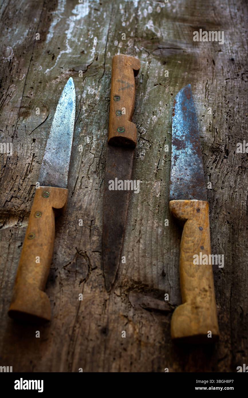 Tre coltelli da cucina vintage sono disposti su una superficie di legno intemprata. Le lame mostrano segni di età e i manici in legno hanno una consistenza grossolana Foto Stock