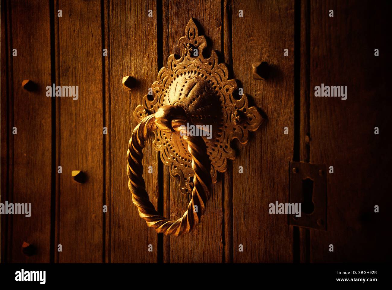 Una porta dal design splendido si trova ben visibile su una porta di legno intemprata. Foto Stock