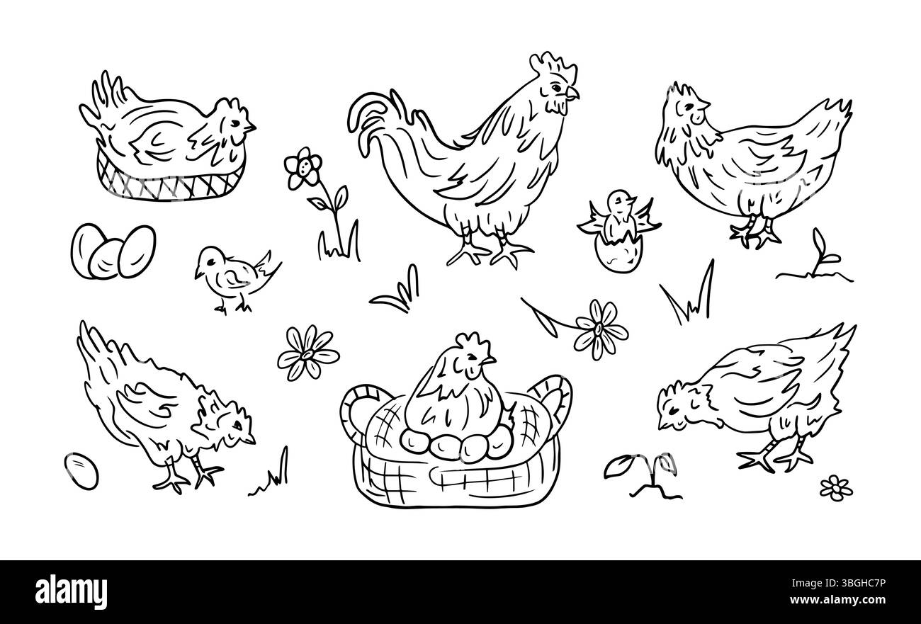 Una serie di illustrazioni di uccelli domestici, polli, pulcini, gallo, uova in stile doodle. Illustrazione del contorno di una fattoria con animali. Concetto di produzione alimentare, cibo ecologico. Illustrazione Vettoriale