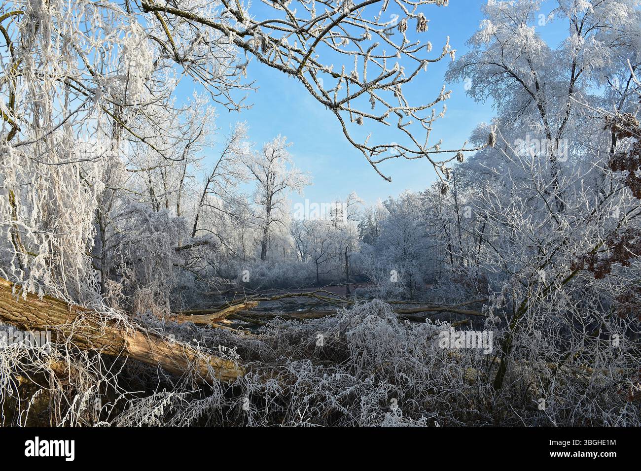 Area protetta del paesaggio di Amperauen, Moosburg an der Isar, alta Baviera Foto Stock