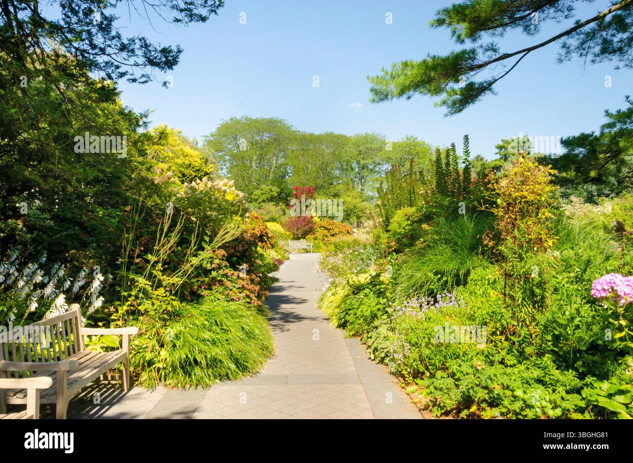 Scena al Giardino Botanico nel Bronx, New York Foto Stock