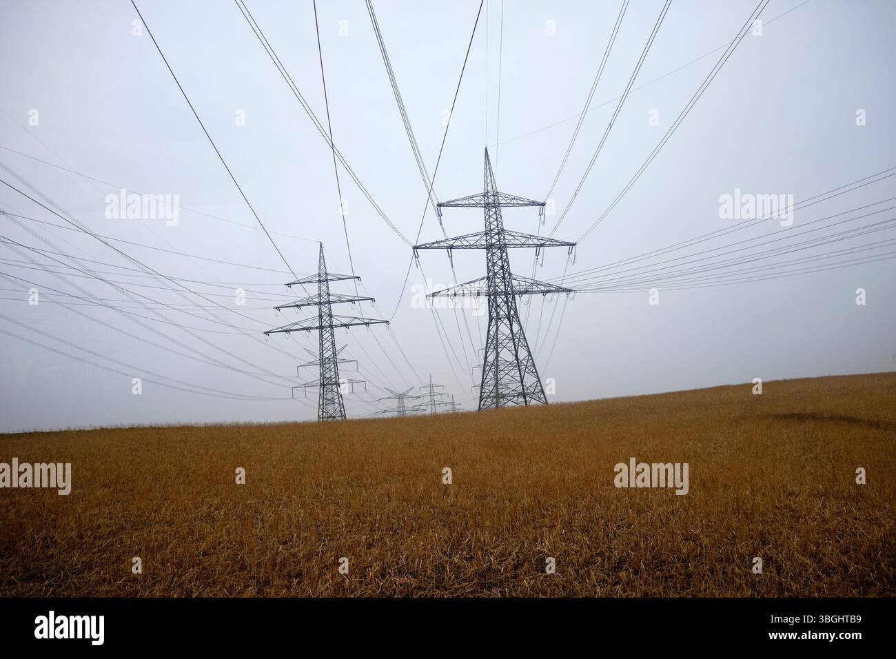 Linea elettrica in un campo nell'entroterra di Dachau Foto Stock