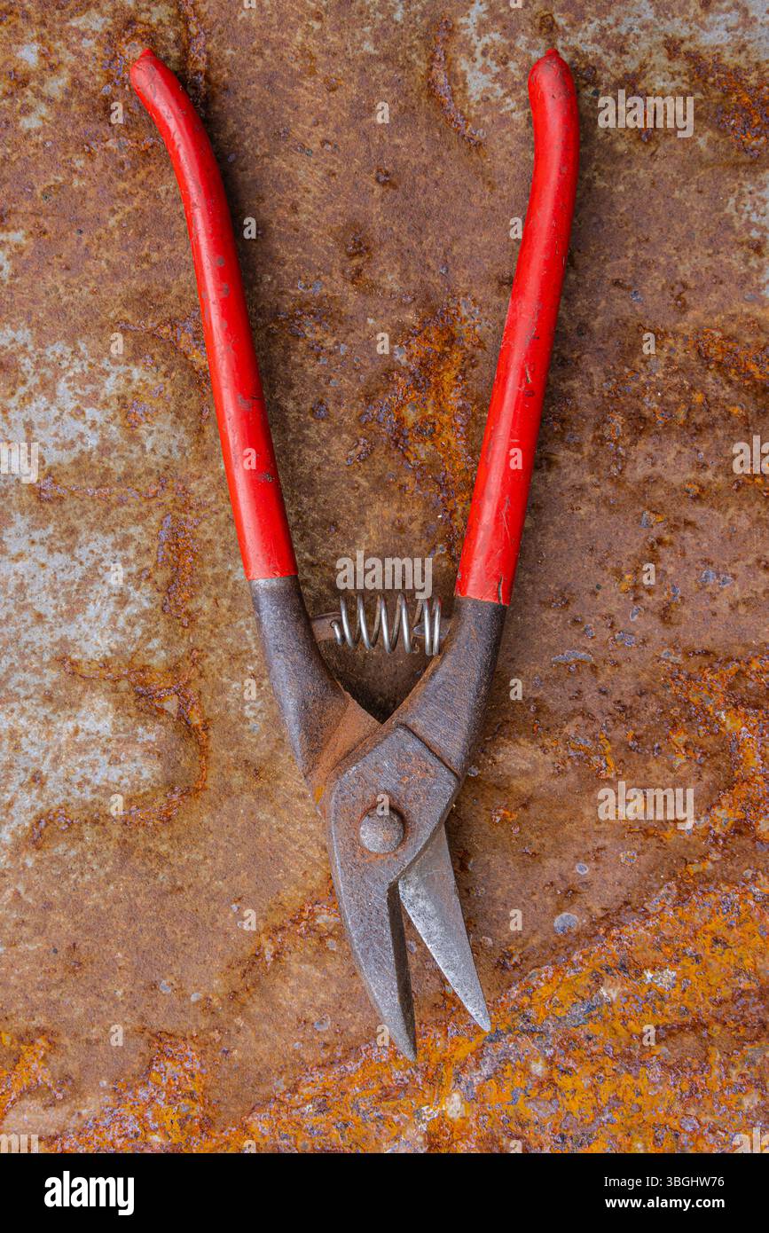 Cesoie a coccodrillo per il taglio di lamiere con manico rosso, foto dettagliata di una vecchia attrezzatura d'epoca isolata su sfondo bianco Foto Stock
