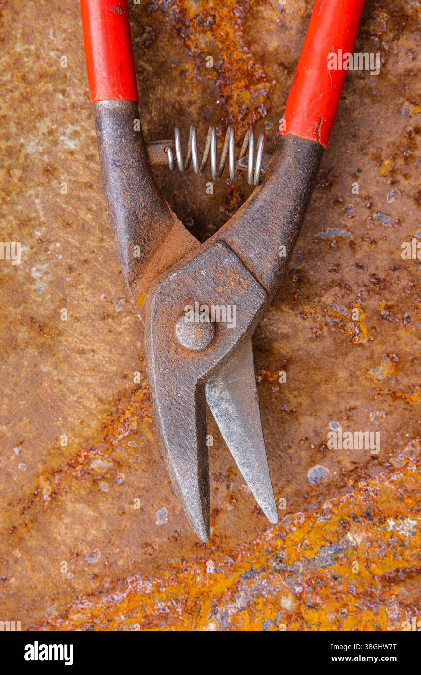 Cesoie a coccodrillo per il taglio di lamiere con manico rosso, foto dettagliata di una vecchia attrezzatura d'epoca isolata su sfondo bianco Foto Stock