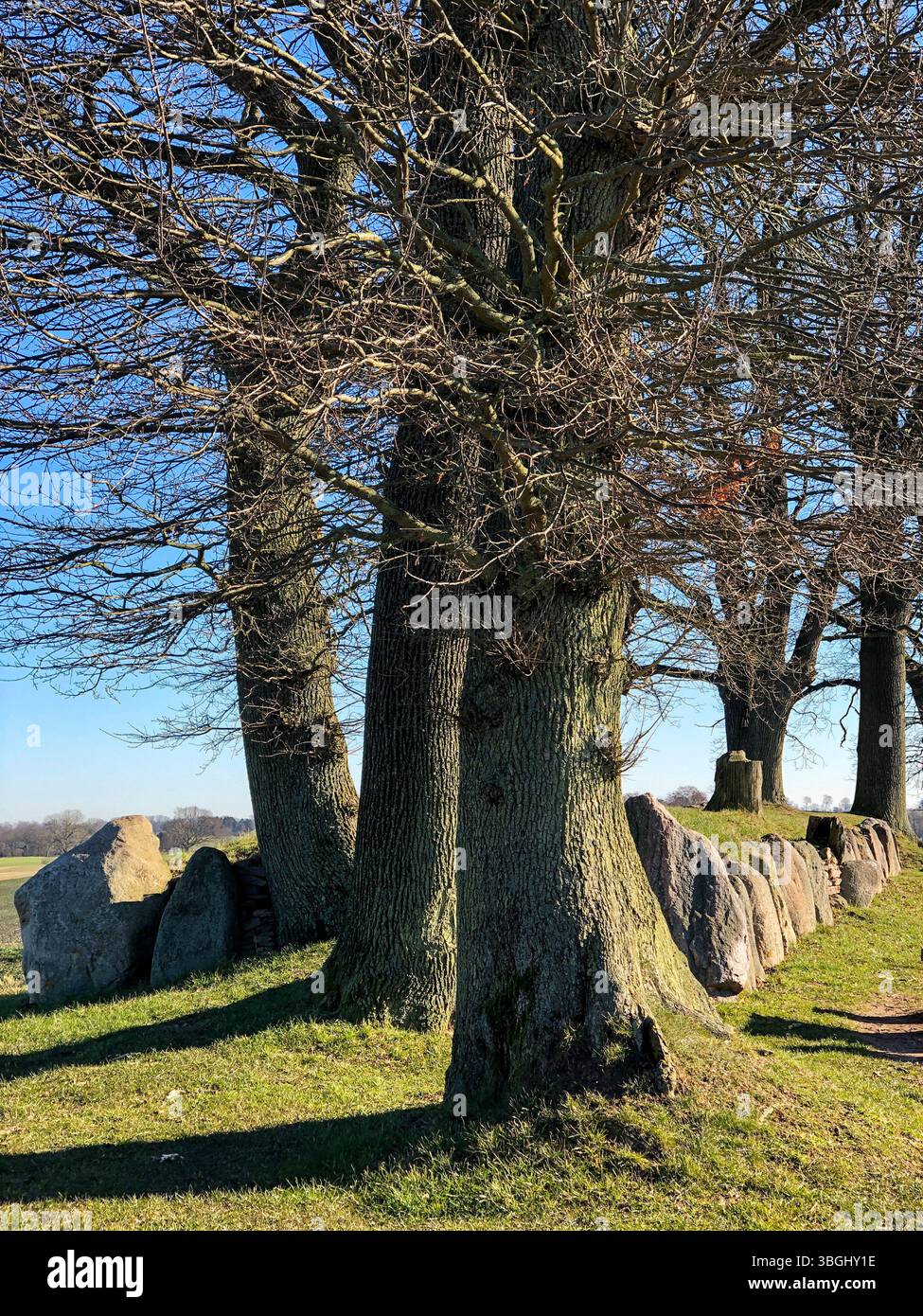 Sito megalitico di Waabs-Karlsminde, tomba, Karlsminde, Waabs, pietra, archeologia, tomba megalitica, Rendsburg-Eckernförde, Germania settentrionale, letto megalitico, Schleswig-Holstein, Germania Foto Stock