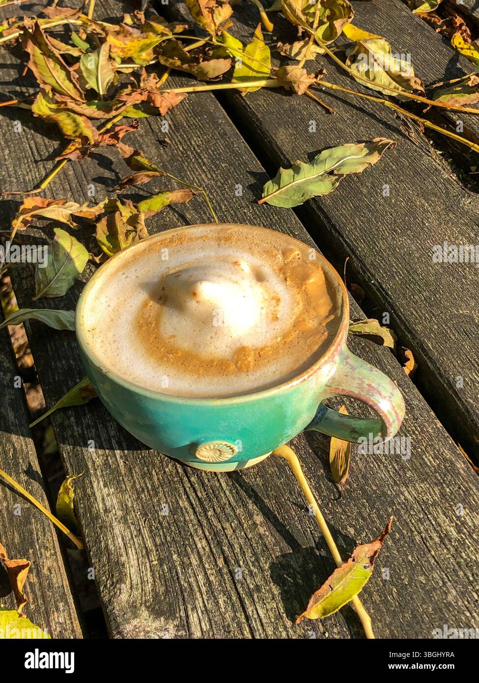Caffè, tavolo, foglie, foglie cadute, bere, Germania del nord, parte, Schleswig-Holstein, Germania Foto Stock
