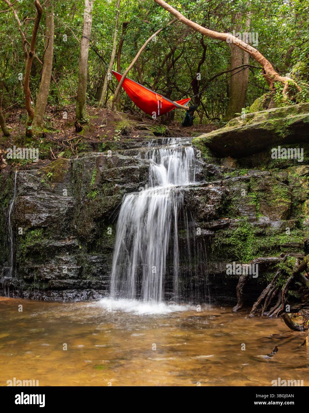 Un'amaca rossa che campeggia sopra la cascata nella foresta del F.D. Roosevelt State Park, Pine Mountain Georgia USA. Raffigurante fuga, armonia, ritirata, Foto Stock