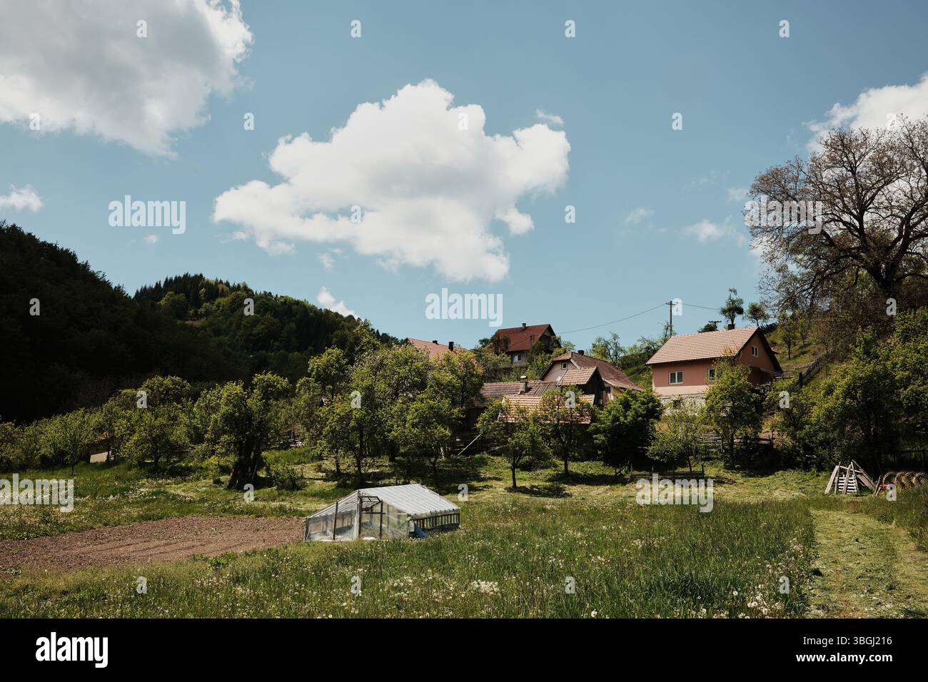 Vista panoramica di un piccolo villaggio serbo vicino al Parco Nazionale di Tara con case circondate da alberi da frutto e una serra in primo piano. Foto Stock