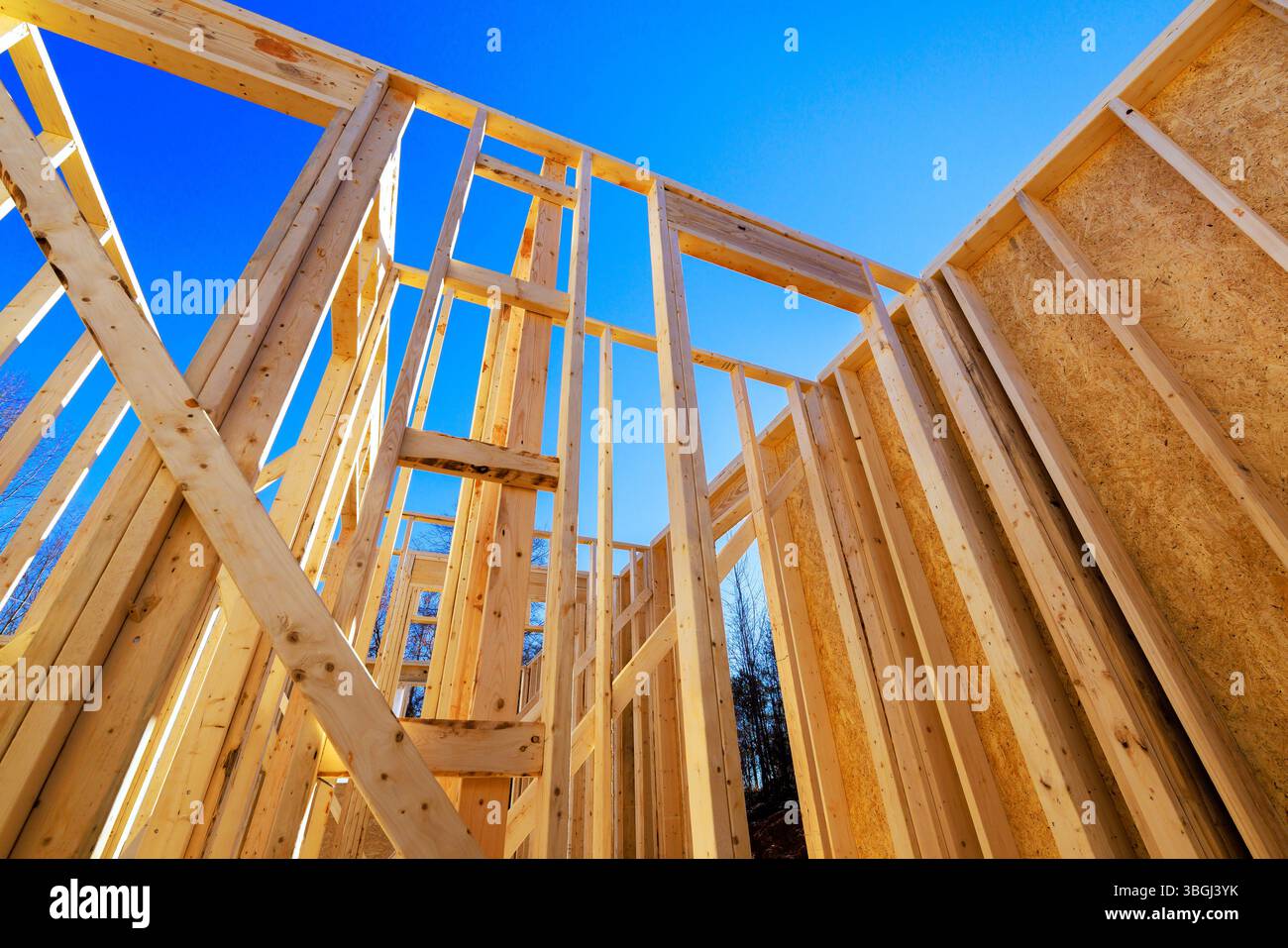 I costruttori stanno assemblando telai in legno per nuove abitazioni nella zona di costruzione Foto Stock