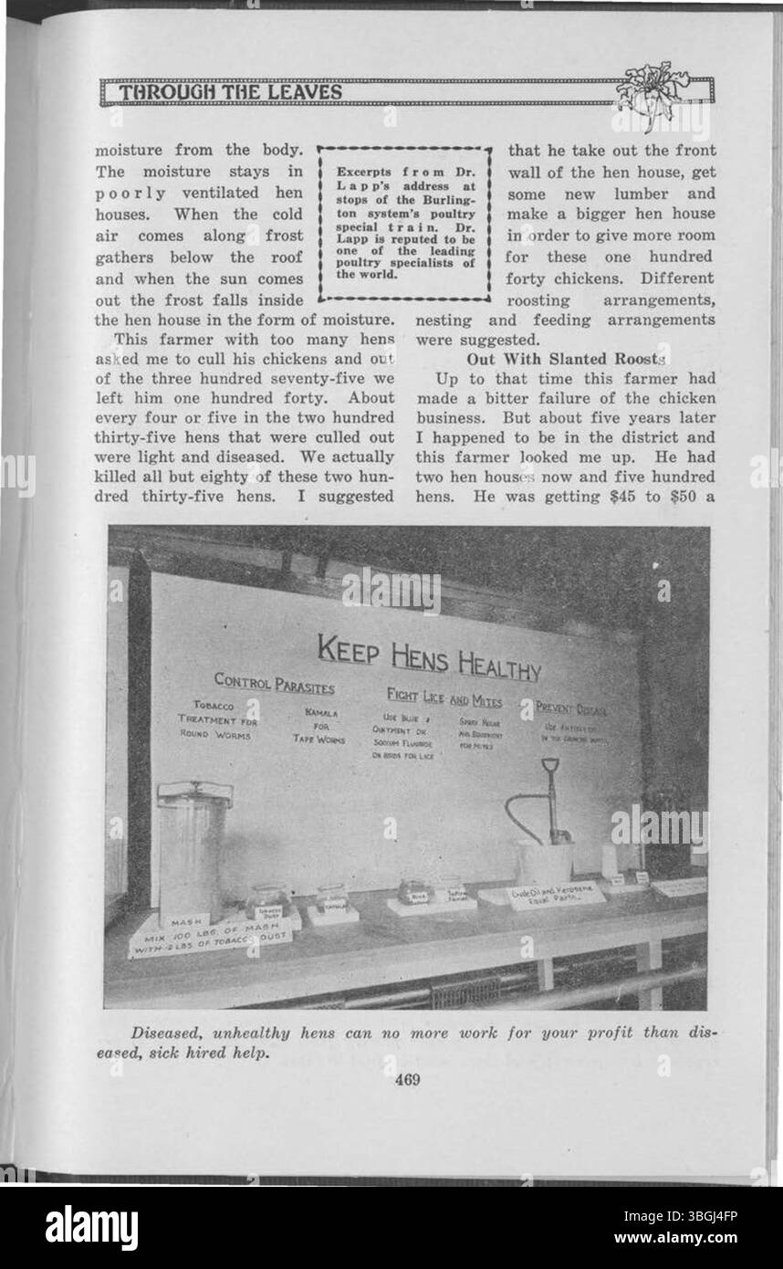 Questa edizione di "Through the Leaves" (1927) offre una riflessione sulla natura e sull'esperienza umana, con un indice tematico (pagine 532-538) che aiuta i lettori a navigare nelle idee e nei concetti chiave dell'opera. Foto Stock