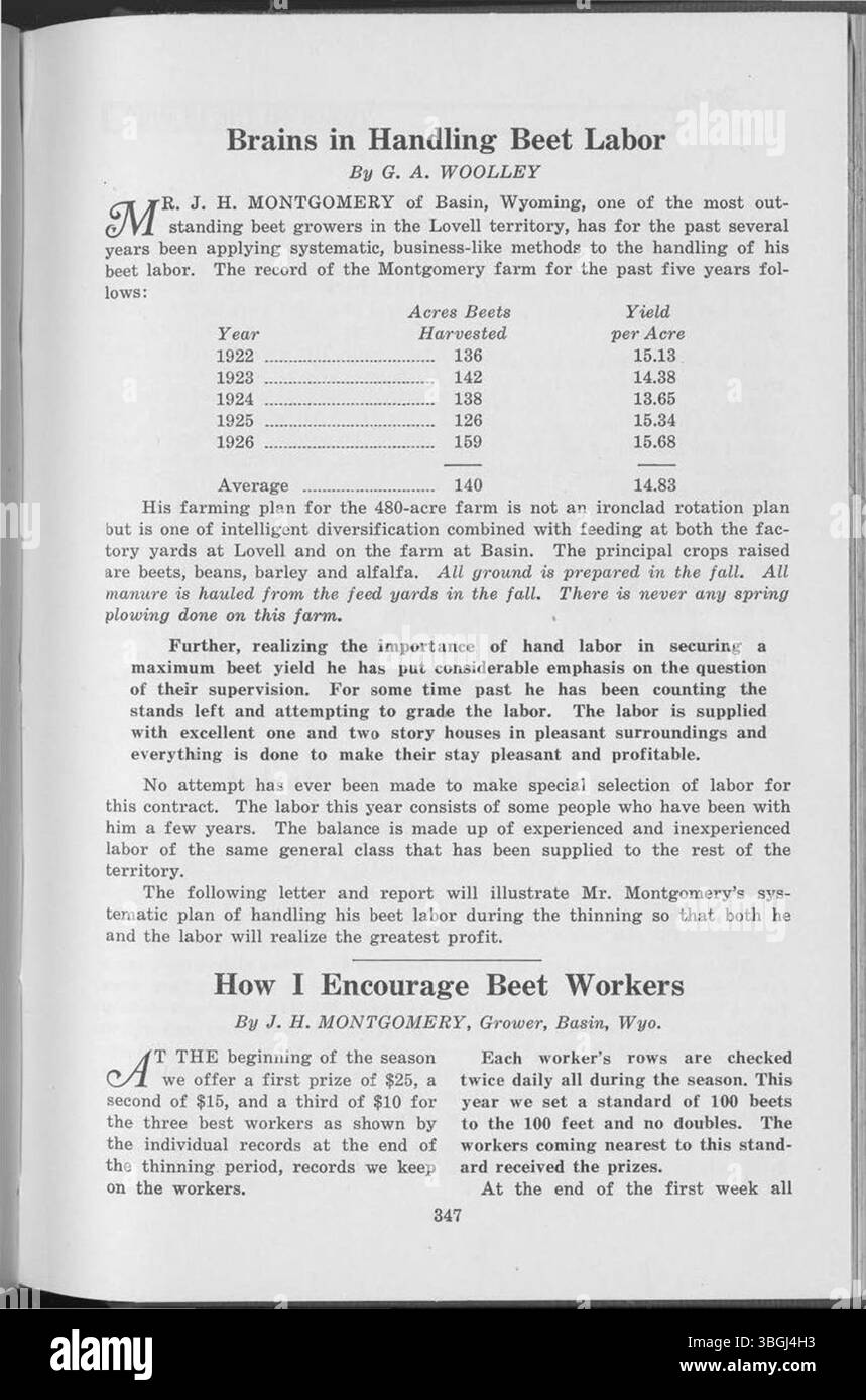 L'edizione 1927 di "Through the Leaves" continua ad esplorare le profonde connessioni tra natura ed esperienza umana. Un indice degli argomenti (pagine 532-538) aiuta i lettori a trovare facilmente temi e idee specifici presentati nel testo. Foto Stock