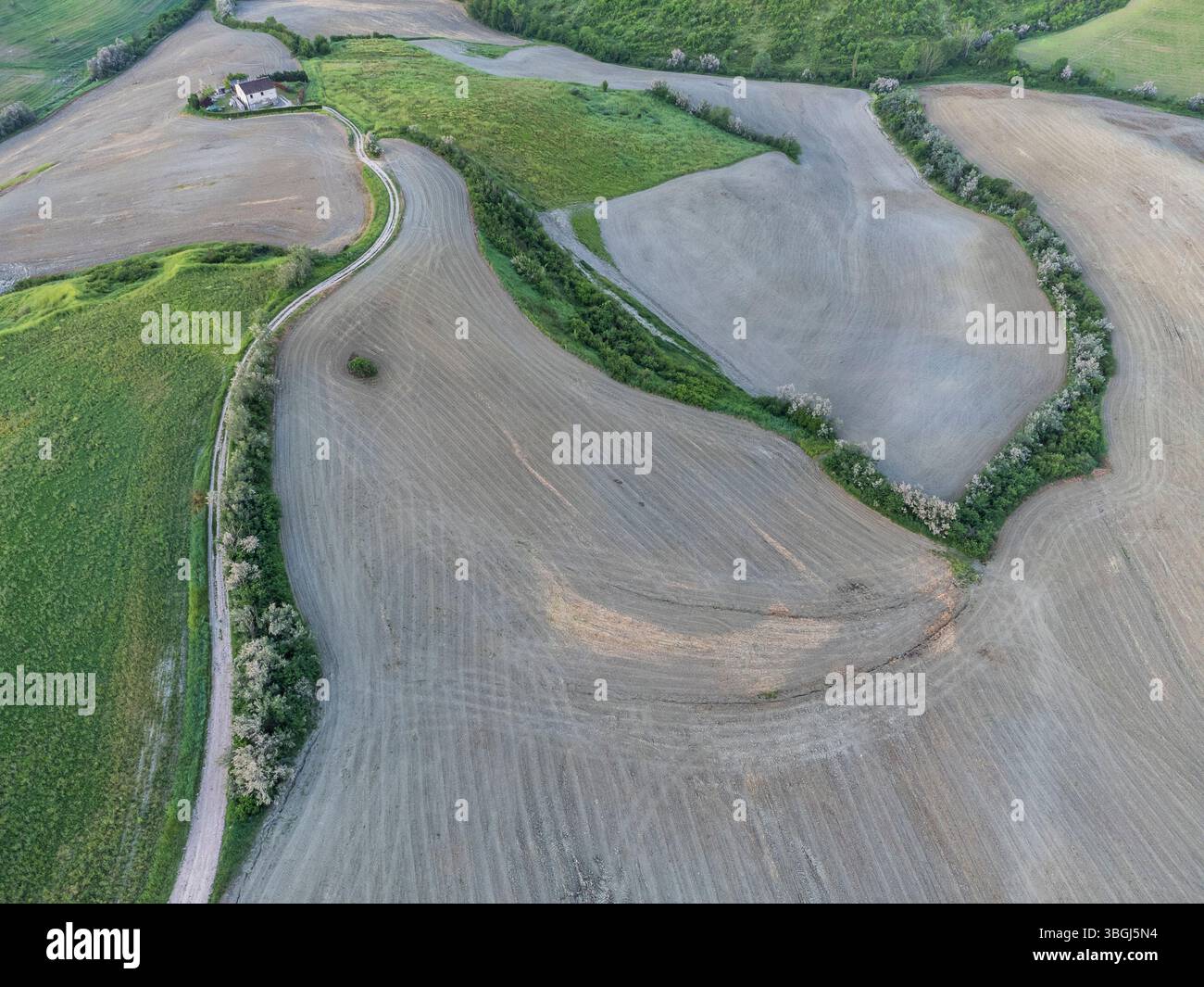 Alba di prima mattina sulle verdi colline di Petriano, con una strada che attraversa il tranquillo paesaggio della provincia di Pesaro Urbino, Marche, Italia Foto Stock