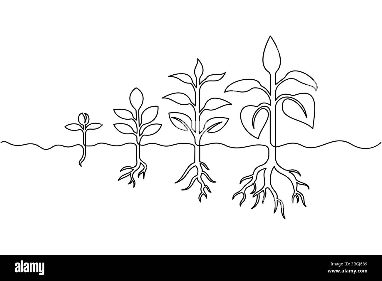 Semplici fasi di crescita del ciclo di vita delle piante con icona vettoriale a una linea Illustrazione Vettoriale
