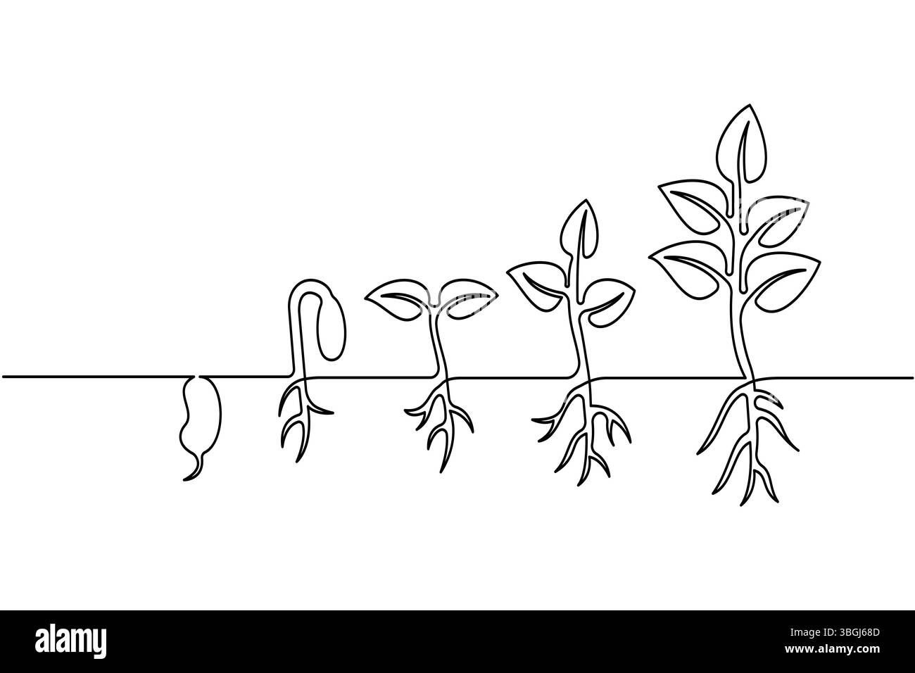 Semplici fasi di crescita del ciclo di vita delle piante con icona vettoriale a una linea Illustrazione Vettoriale