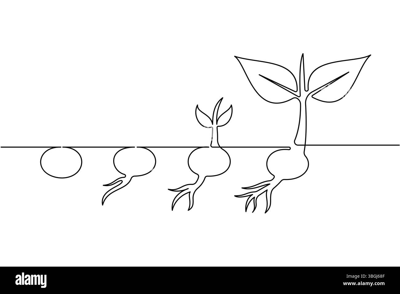 Semplici fasi di crescita del ciclo di vita delle piante con icona vettoriale a una linea Illustrazione Vettoriale
