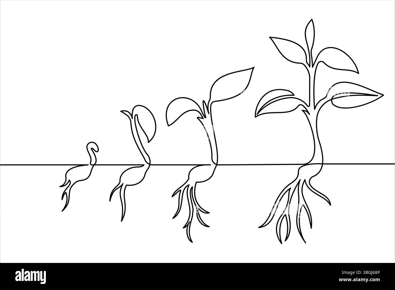 Semplici fasi di crescita del ciclo di vita delle piante con icona vettoriale a una linea Illustrazione Vettoriale