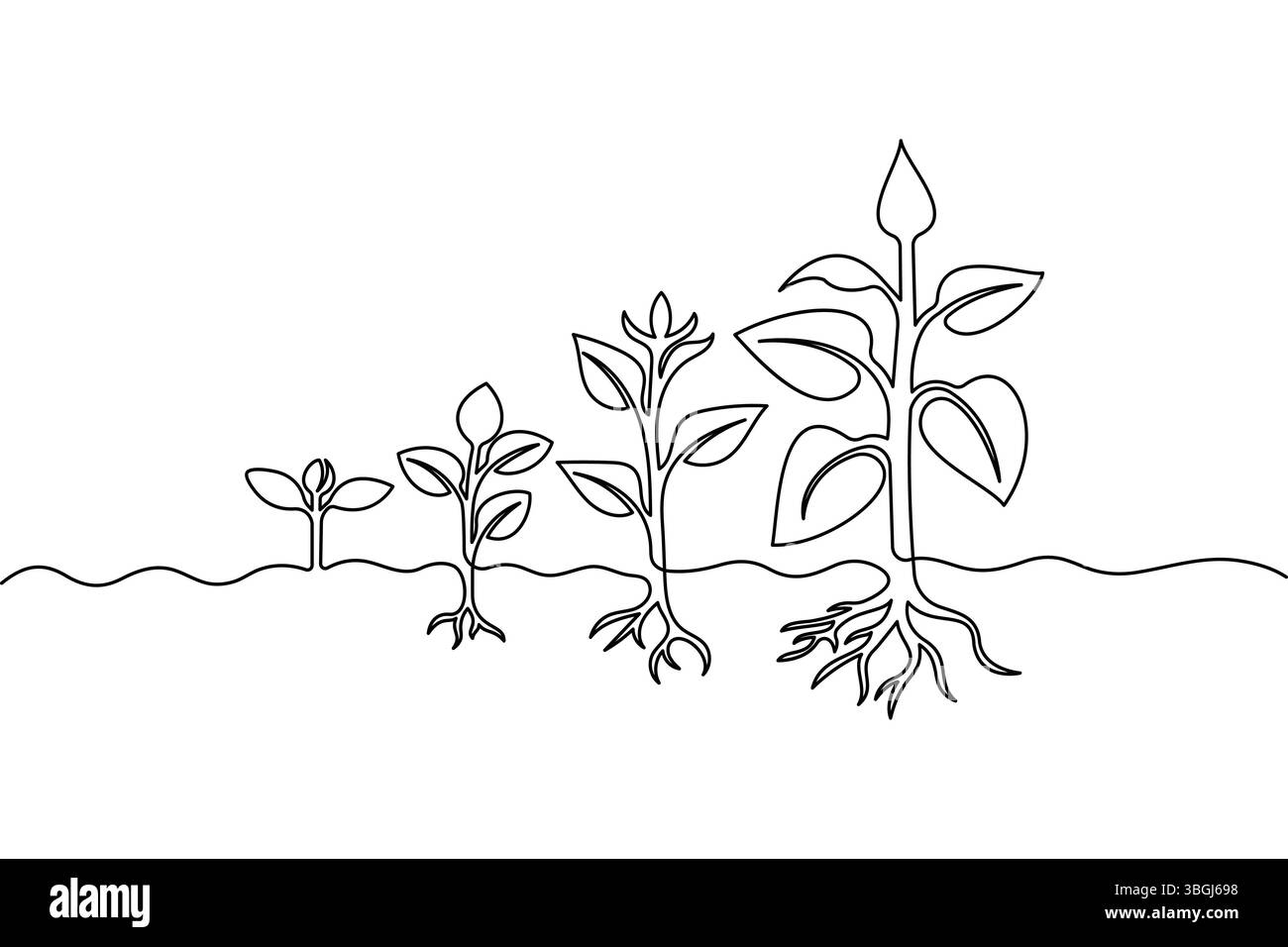 Semplici fasi di crescita del ciclo di vita delle piante con icona vettoriale a una linea Illustrazione Vettoriale
