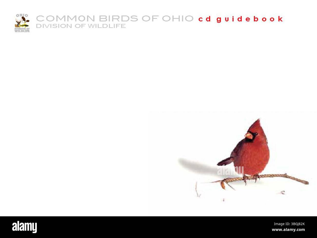 La guida in 2012 CD agli uccelli comuni dell'Ohio fornisce un riferimento completo per identificare le specie di uccelli locali, ideale per gli amanti del birdwatching e della natura. Foto Stock La guida in 2012 CD agli uccelli comuni dell'Ohio fornisce un riferimento completo per identificare le specie di uccelli locali, ideale per gli amanti del birdwatching e della natura. Foto Stock