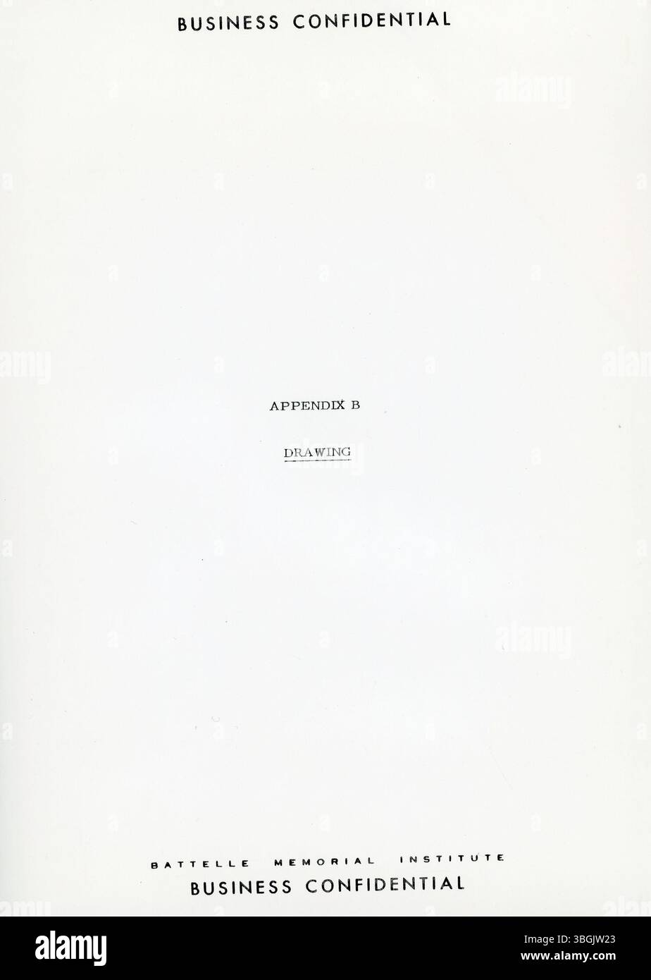 Questa relazione del 1964, preparata per la camera di commercio di Columbus, esamina il ruolo della camera nel promuovere la crescita e lo sviluppo dell'area di Columbus. Analizza le relazioni annuali 1963-1964 di vari dipartimenti della camera, comitati e attività speciali di servizio comunitario per integrarle nello sforzo del piano blu. Foto Stock