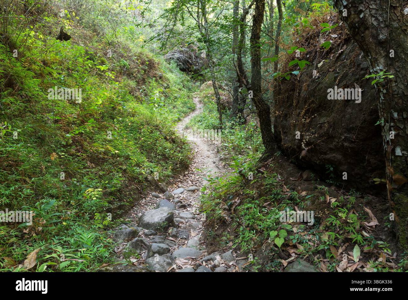 Processi a Amatlán. Morelos, Messico Foto Stock