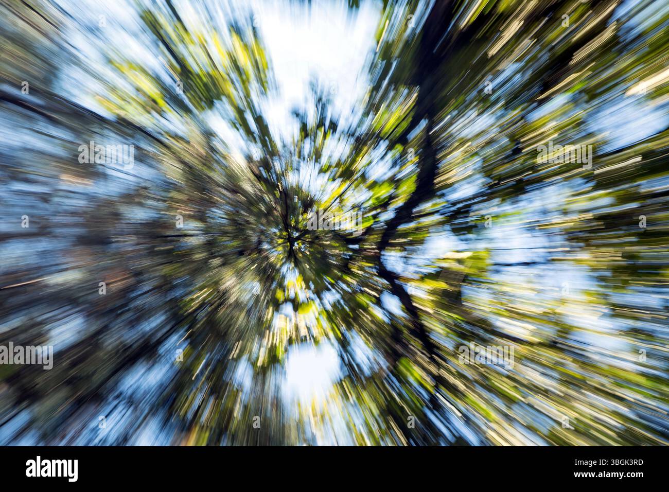 Processi a Amatlán. Morelos, Messico Foto Stock