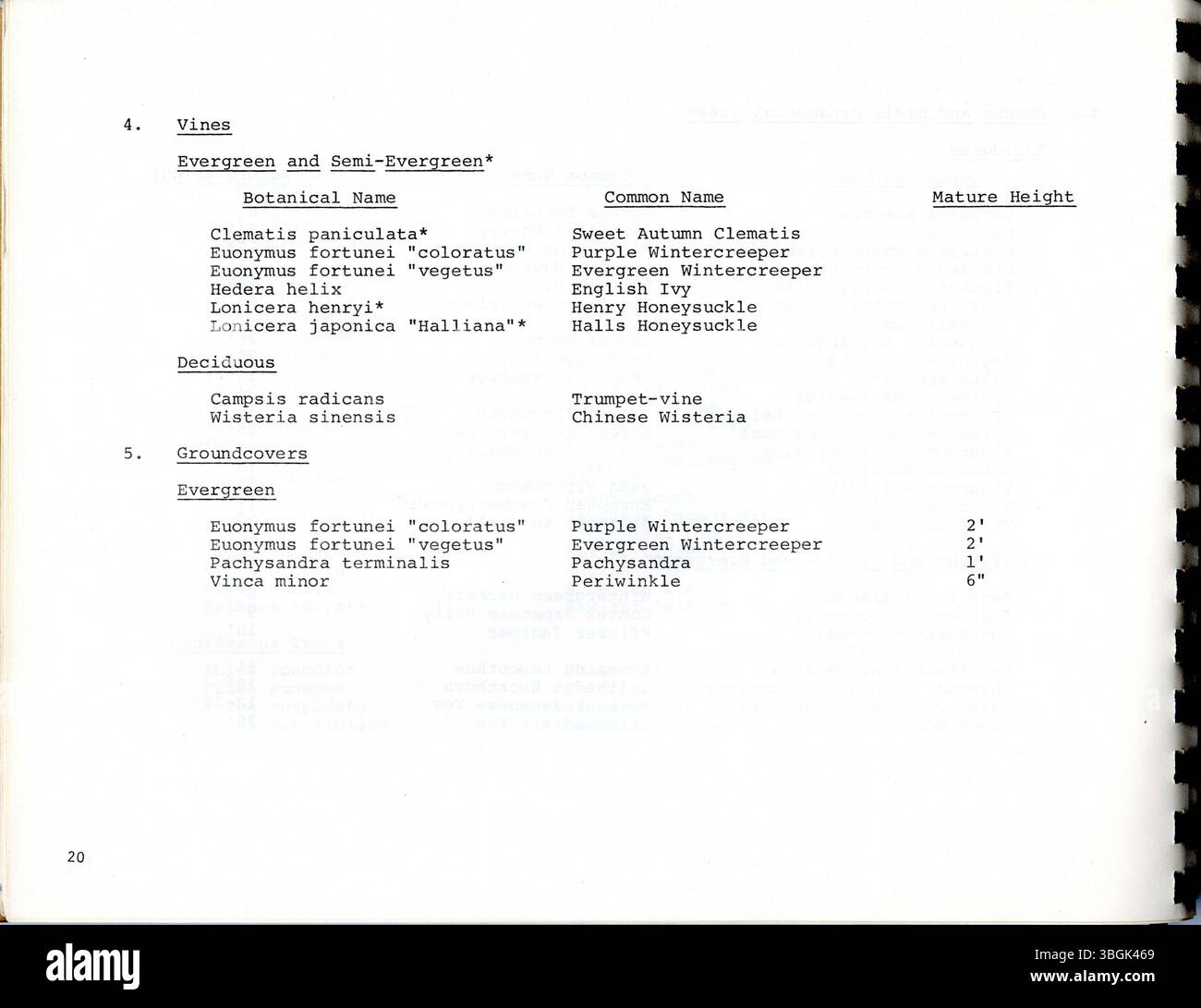 La North Linden Market Study Design Guide 1977 fornisce un'analisi economica e fisica delle attività commerciali di Cleveland Avenue, condotta dal Dipartimento dello sviluppo in collaborazione con Trott & Bean. Esso comprende raccomandazioni per miglioramenti pubblici e privati a sostegno degli obiettivi di sviluppo a breve e a lungo termine. Foto Stock