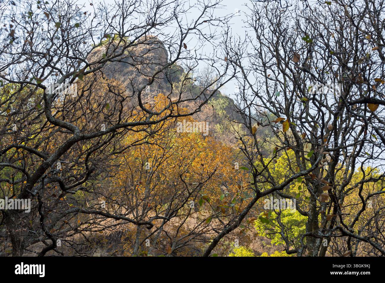 Processi a Amatlán. Morelos, Messico Foto Stock