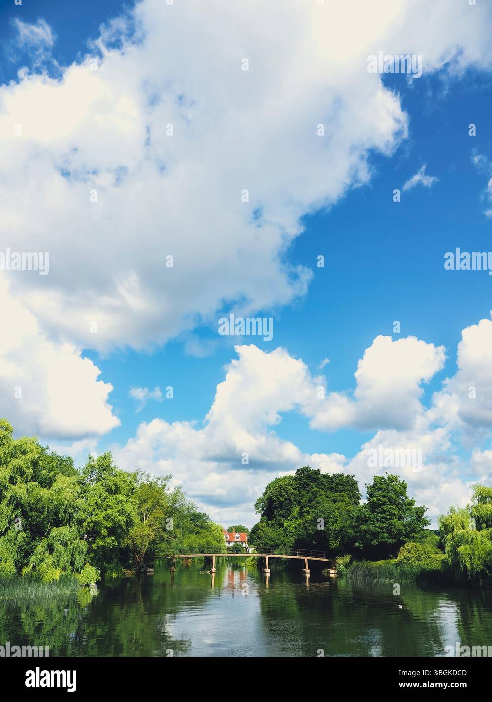 Il Tamigi a Sonning, (Three Men in A Boat), la parte più bella del Tamigi, Sonning, Berkshire, Inghilterra, Regno Unito, GB. Foto Stock