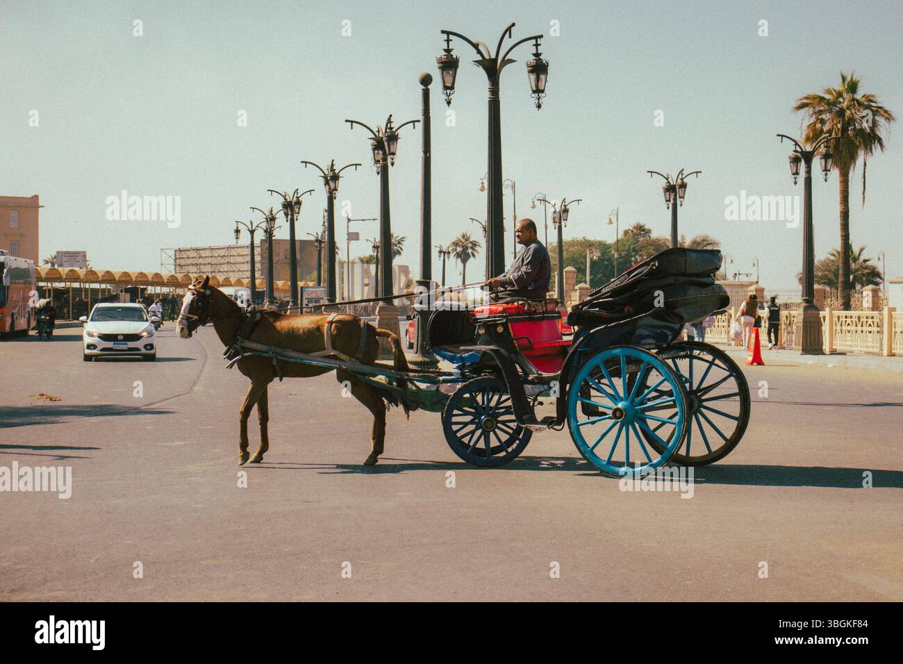 Luxor/Egitto – 7 dicembre 2024. Una tradizionale carrozza trainata da cavalli, conosciuta localmente come "hantour", sorge su una strada della città di Luxor. Queste iconiche carrozze sono popolari tra i turisti per esplorare la città storica e le sue strade vivaci. L'immagine cattura la cultura dei trasporti locali e la vita quotidiana in una delle destinazioni turistiche più famose dell'Egitto. Foto Stock