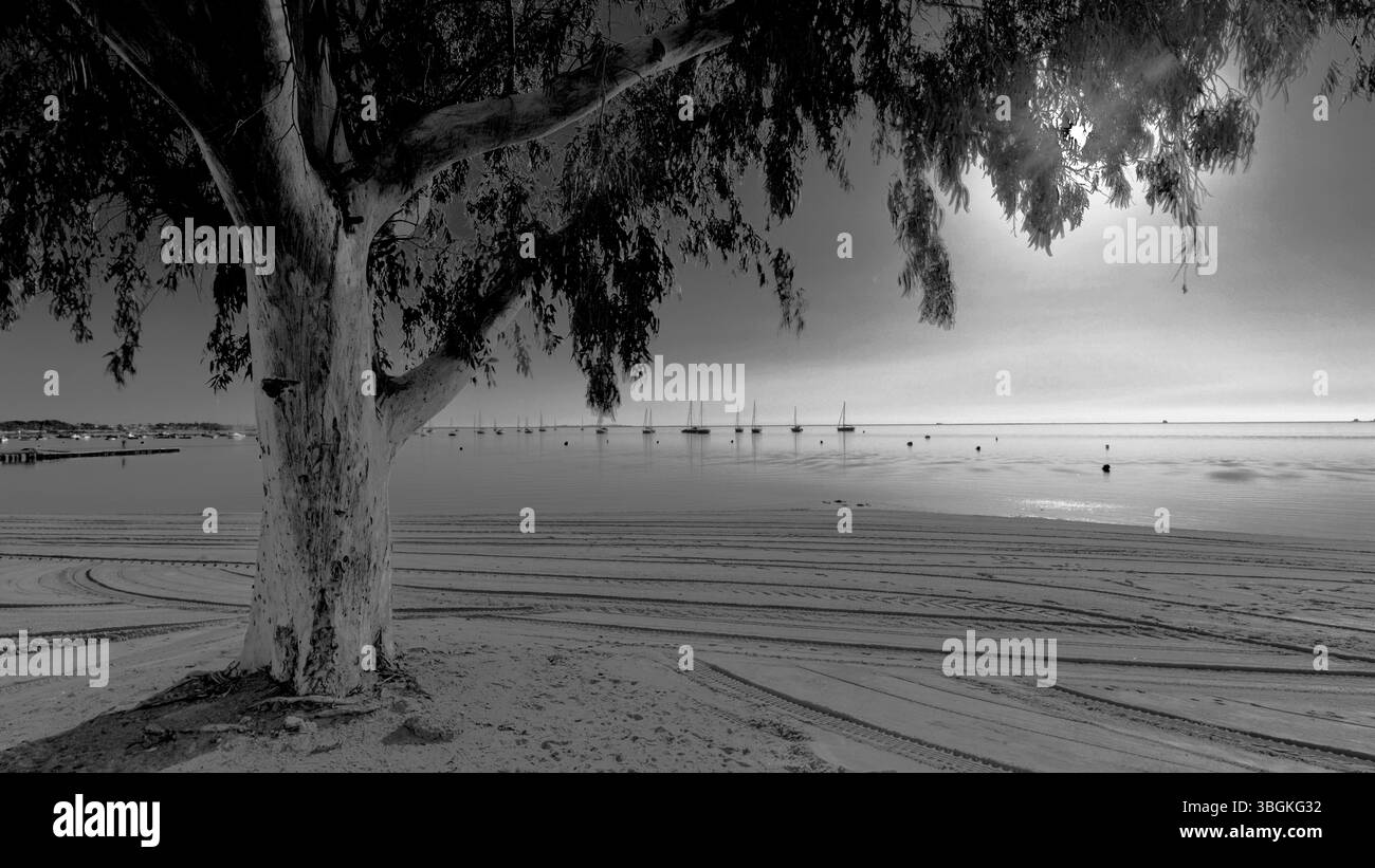 Playa Barnuevo, spiaggia, barche, retroilluminazione, Santiago de Ribera, Mar Menor, regione autonoma di Murcia, Spagna, Foto Stock
