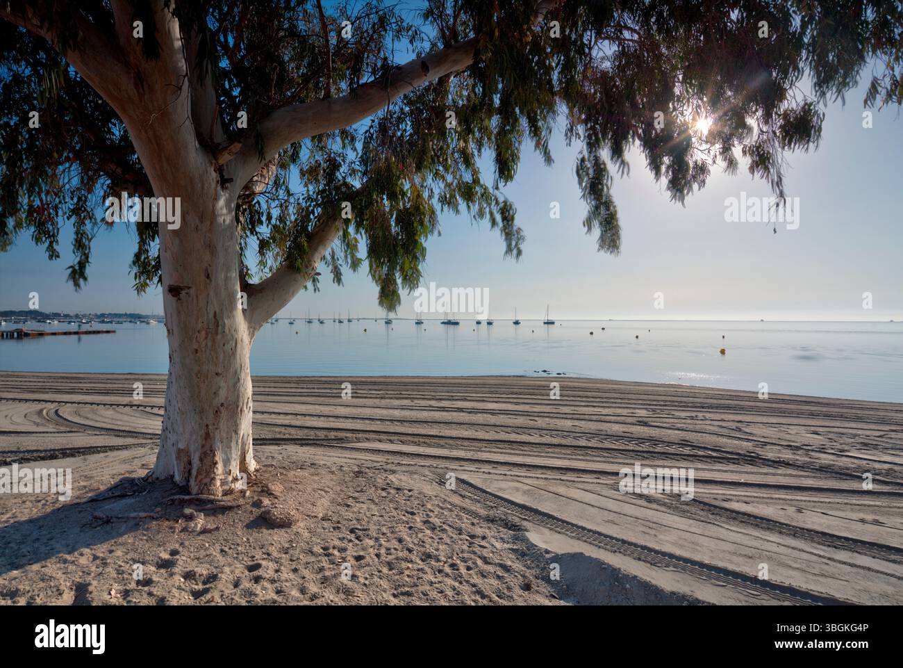 Playa Barnuevo, spiaggia, barche, retroilluminazione, Santiago de Ribera, Mar Menor, regione autonoma di Murcia, Spagna, Foto Stock
