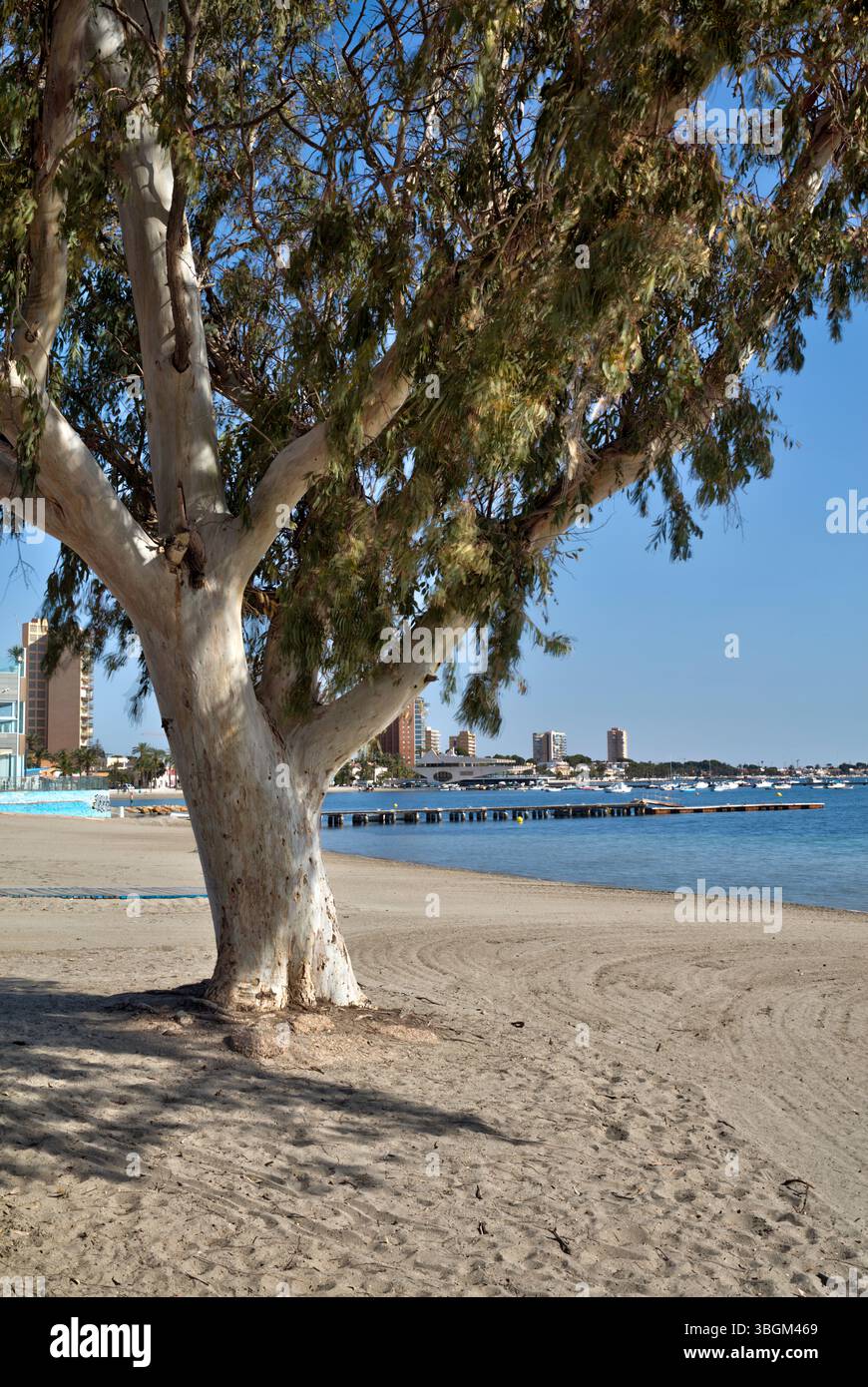 Playa Barnuevo, spiaggia, architettura, Santiago de Ribera, Mar Menor, regione autonoma di Murcia, Spagna, Foto Stock
