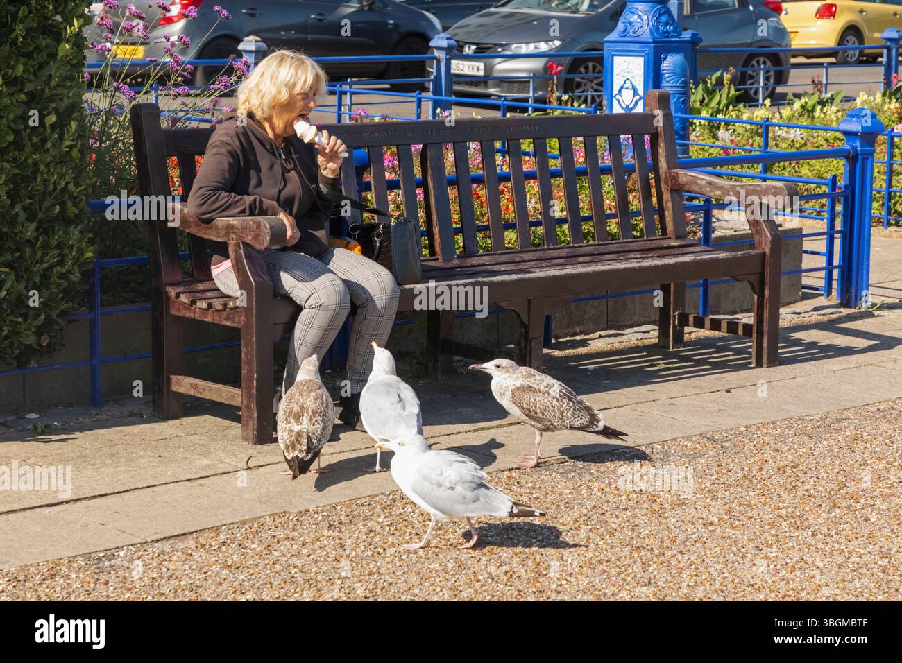 Inghilterra, Sussex, East Sussex, Eastbourne, donna che mangia gelato, gabbiani in cerca di cibo Foto Stock