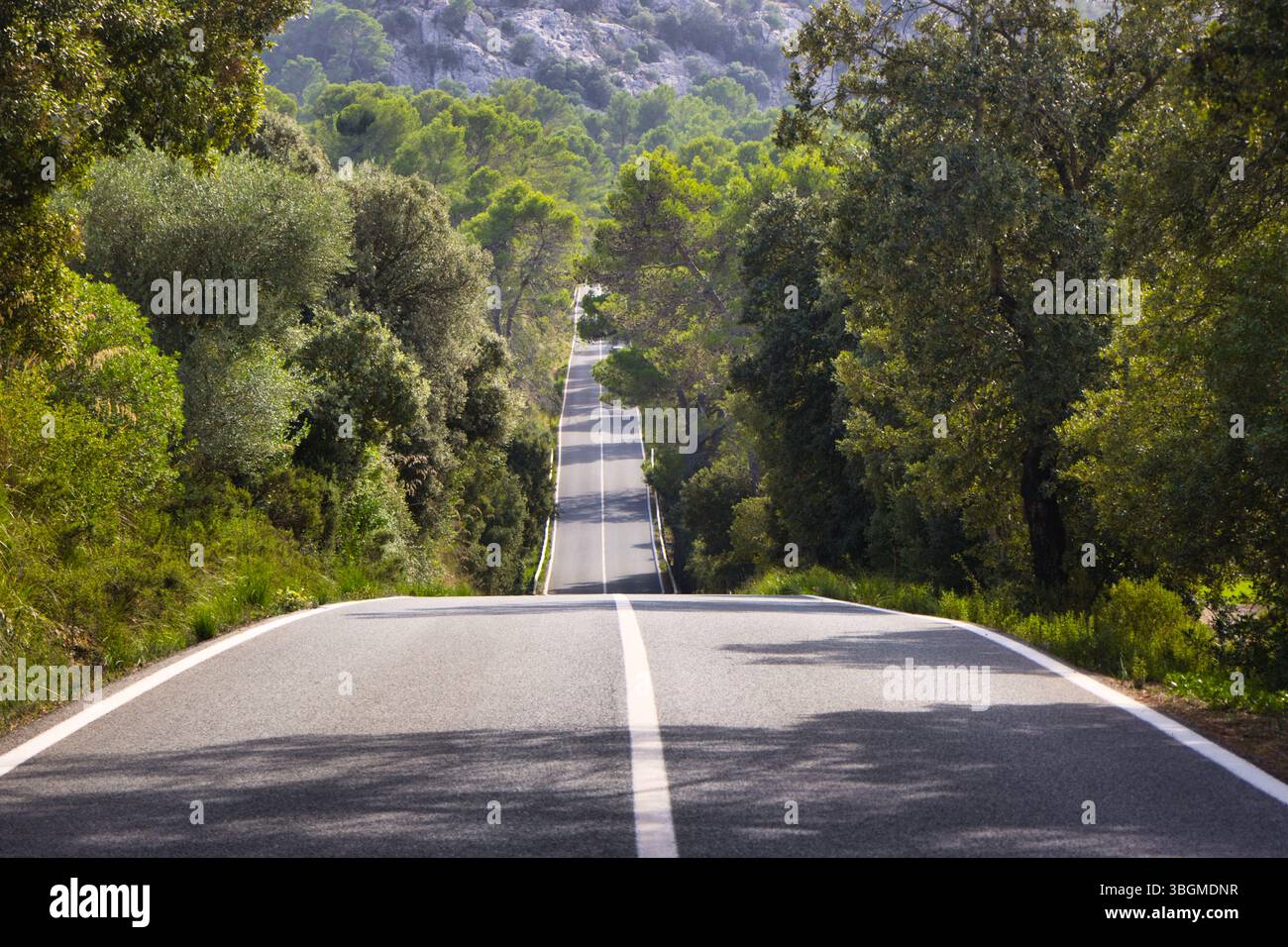 Endless Road attraverso Maiorca - libertà e avventura sull'isola Foto Stock