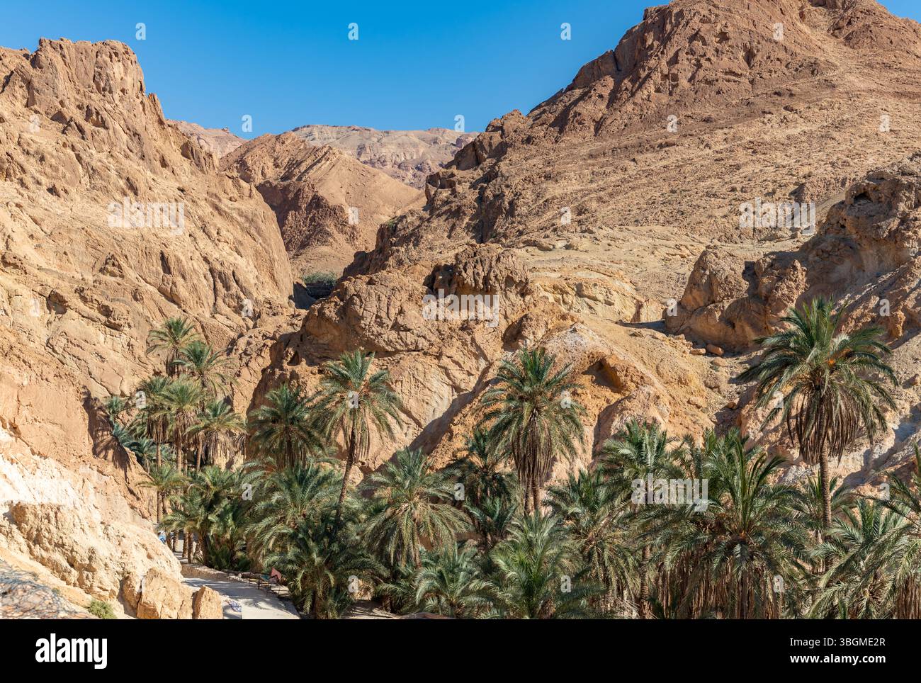 Una foto dell'oasi di Chebika in Tunisia. Foto Stock
