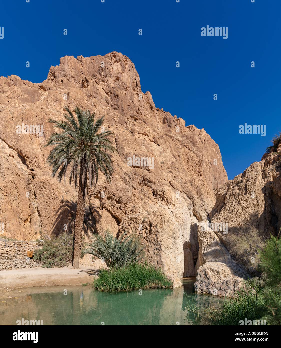 Una foto dell'oasi di Chebika in Tunisia. Foto Stock