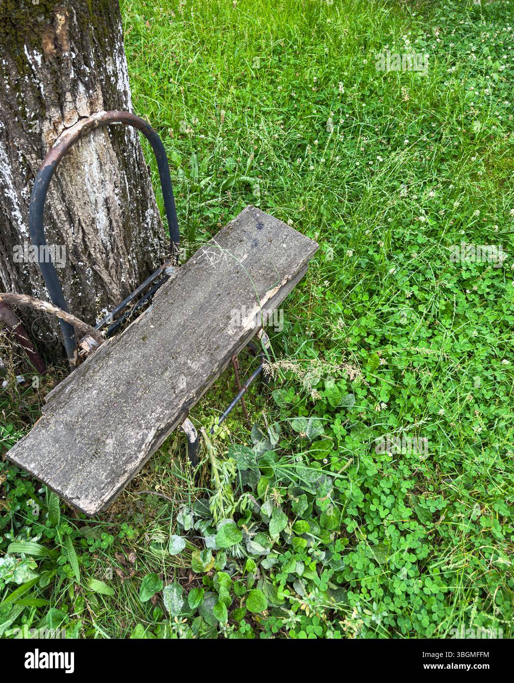 Vecchia panca in legno con telaio in metallo arrugginito fissato al tronco dell'albero su erba verde. Adatto per design rustico, nostalgia, solitudine, sfondi esterni. Foto Stock