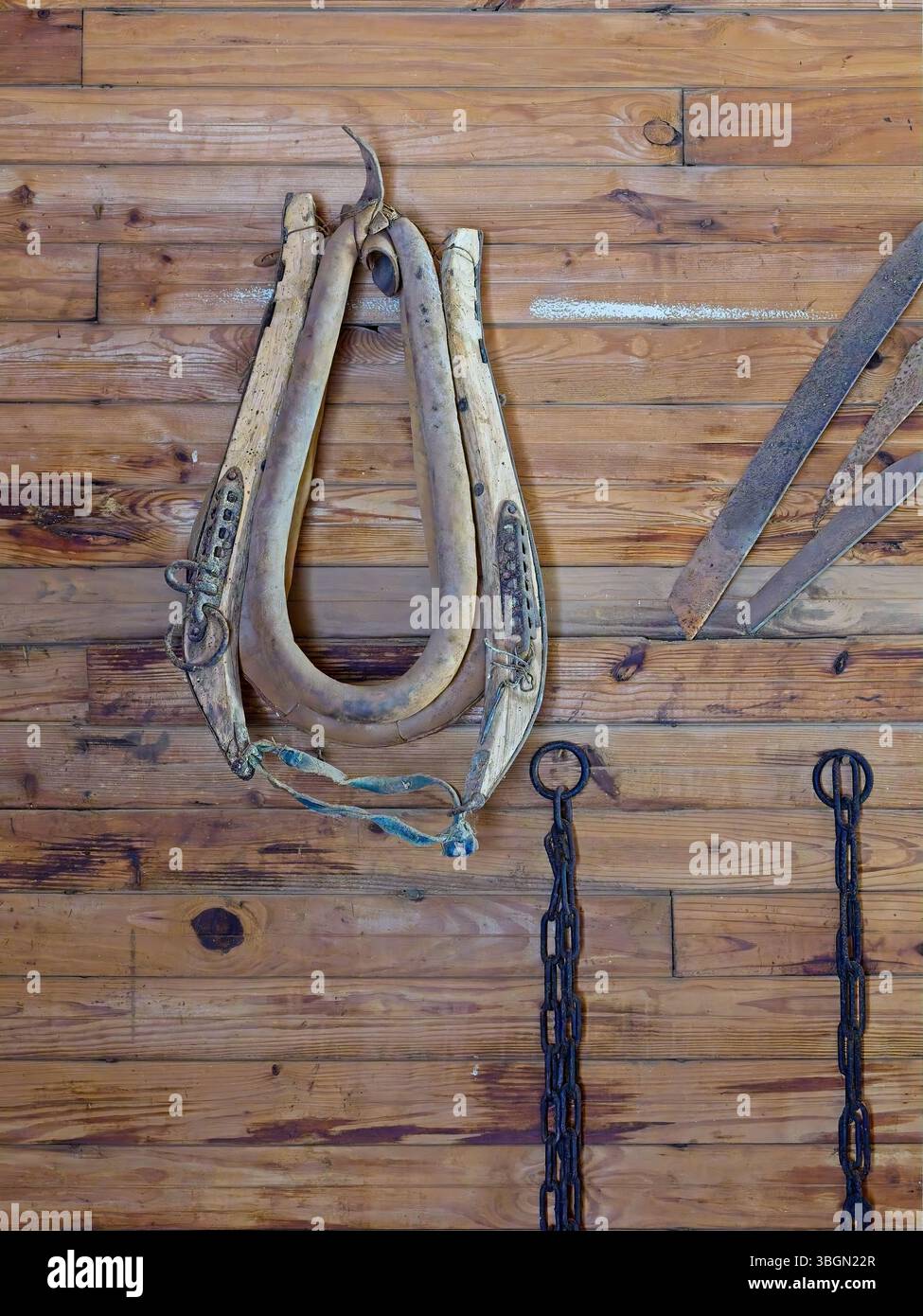 L'antico giogo e le catene dell'aratro sono appese su un muro di legno nella fattoria d'infanzia di jimmy carter Foto Stock