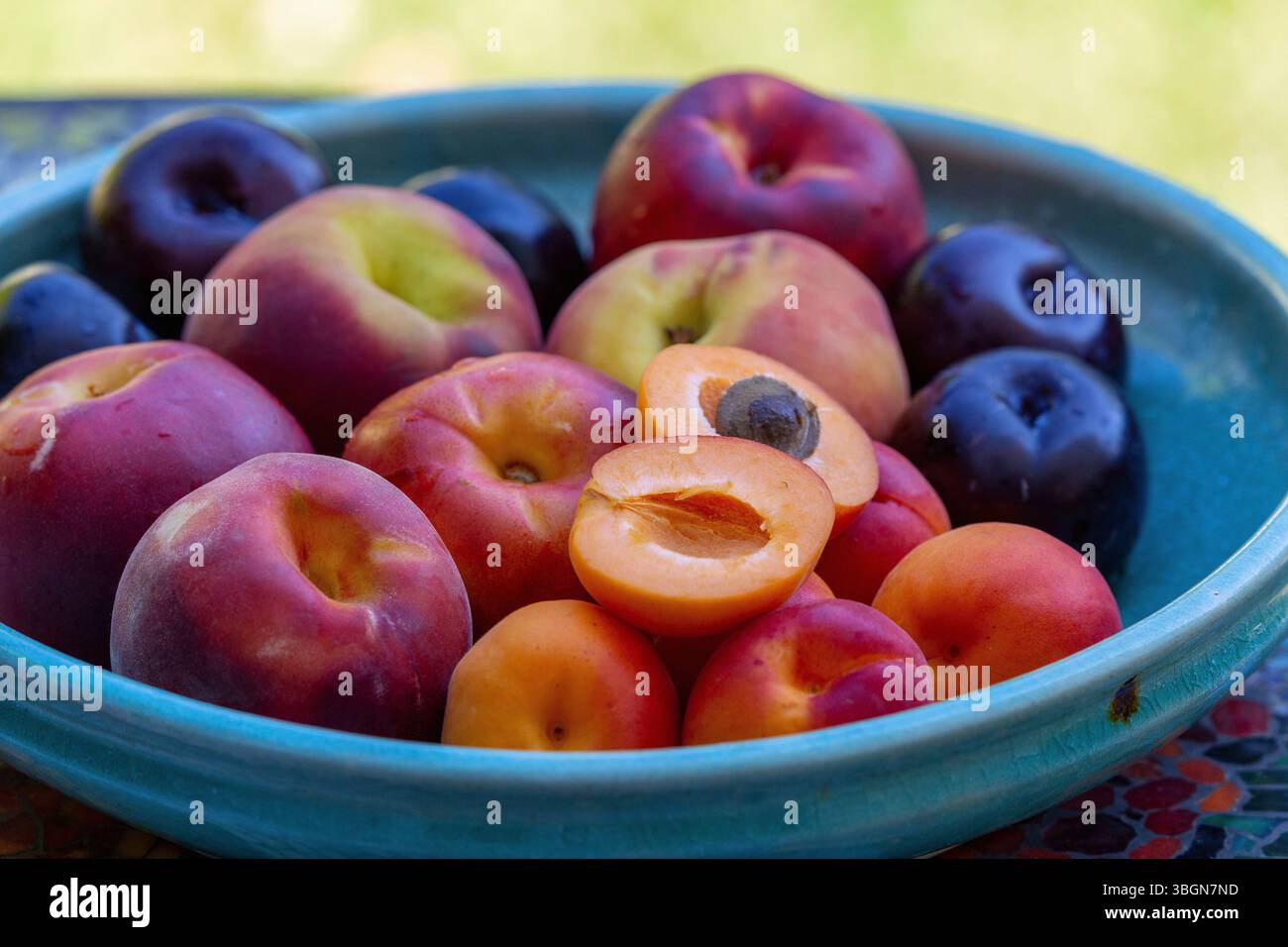 Recipiente in ceramica con frutta a nocciolo, pesche, nettarine, albicocche, prugne Foto Stock