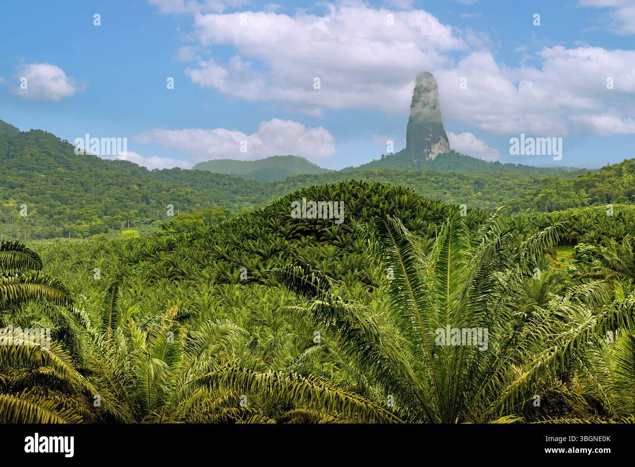 Pico Cao grande e piantagioni di olio di palma nel sud dell'isola di Sao Tome nell'Africa occidentale Foto Stock