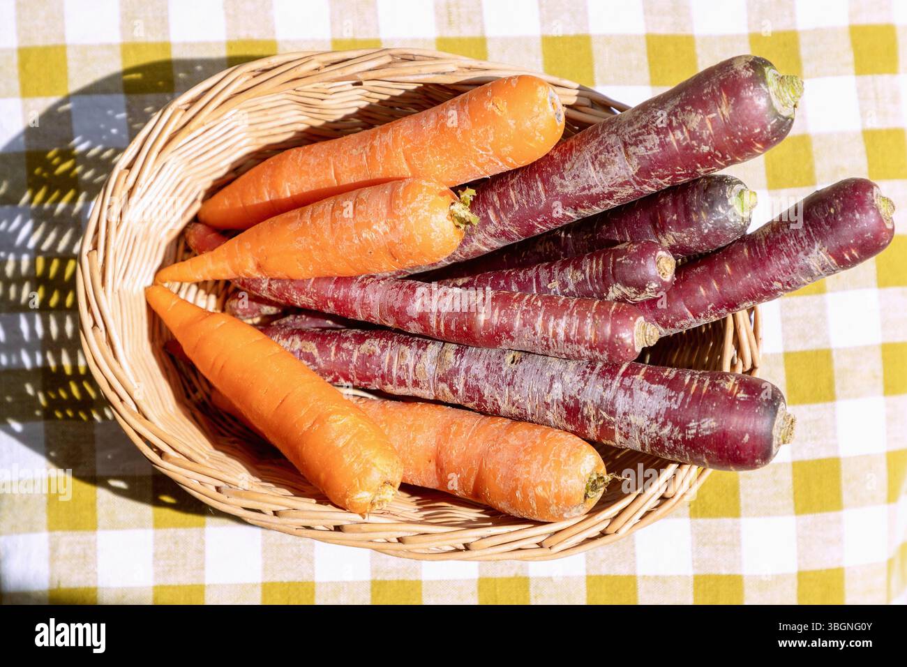 carote viola e carote arancioni in un cestello di vimini su un asciugamano a scacchi Foto Stock