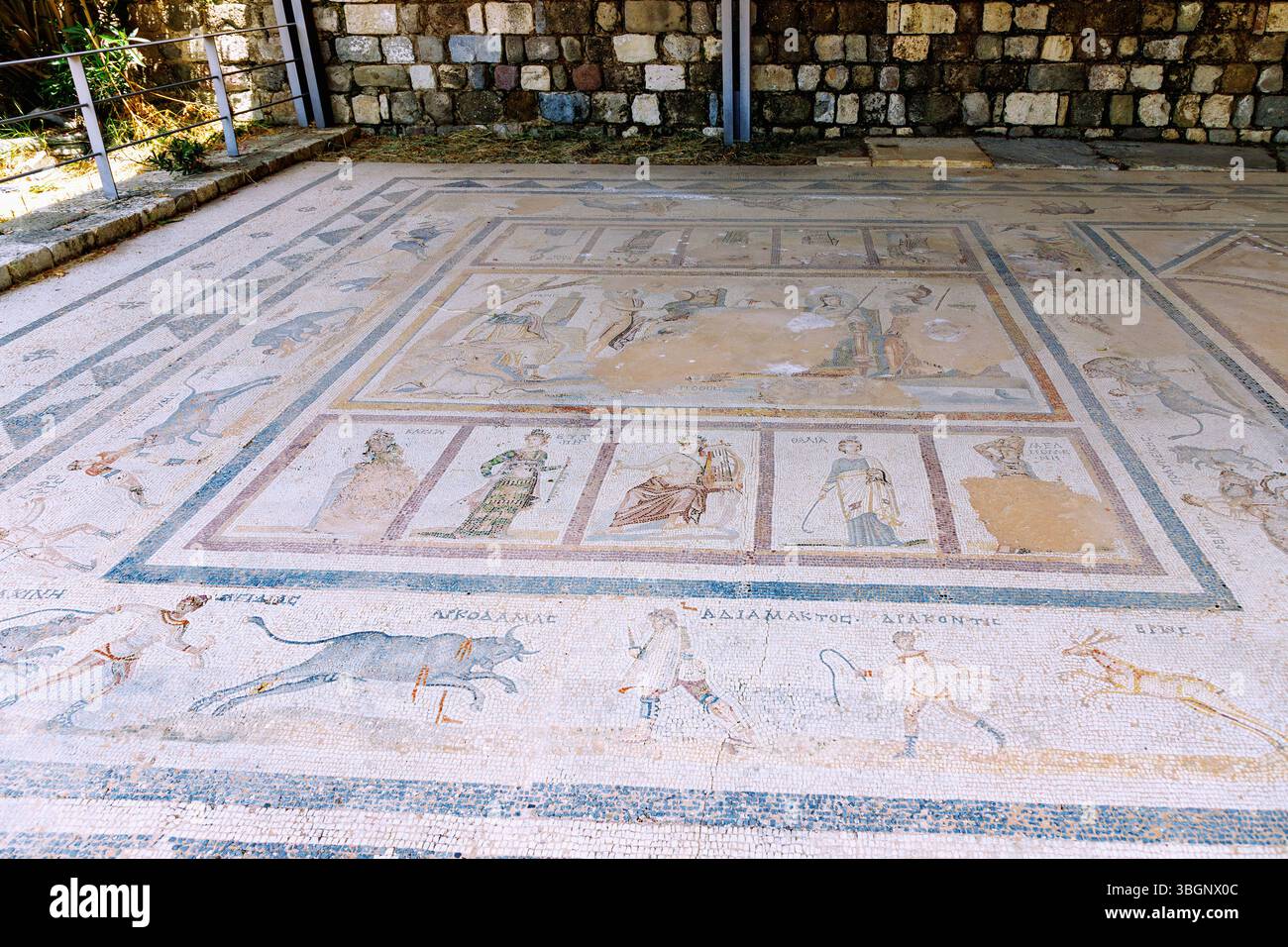 Sito di scavo occidentale nella città di Kos sull'isola di Kos in Grecia, mosaico pavimento con il giudizio di Parigi (sentenza di Parigi) Foto Stock