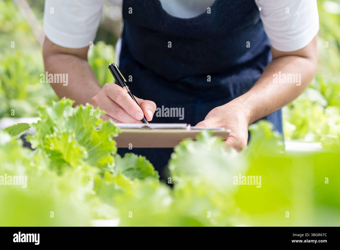 Agricoltura biologica, fattoria di verdure. Gli agricoltori ricontrollano la registrazione della qualità dei dati sulla lista di controllo. Crescere naturalmente, ecologico biologico, sano, tecnologia, non Foto Stock