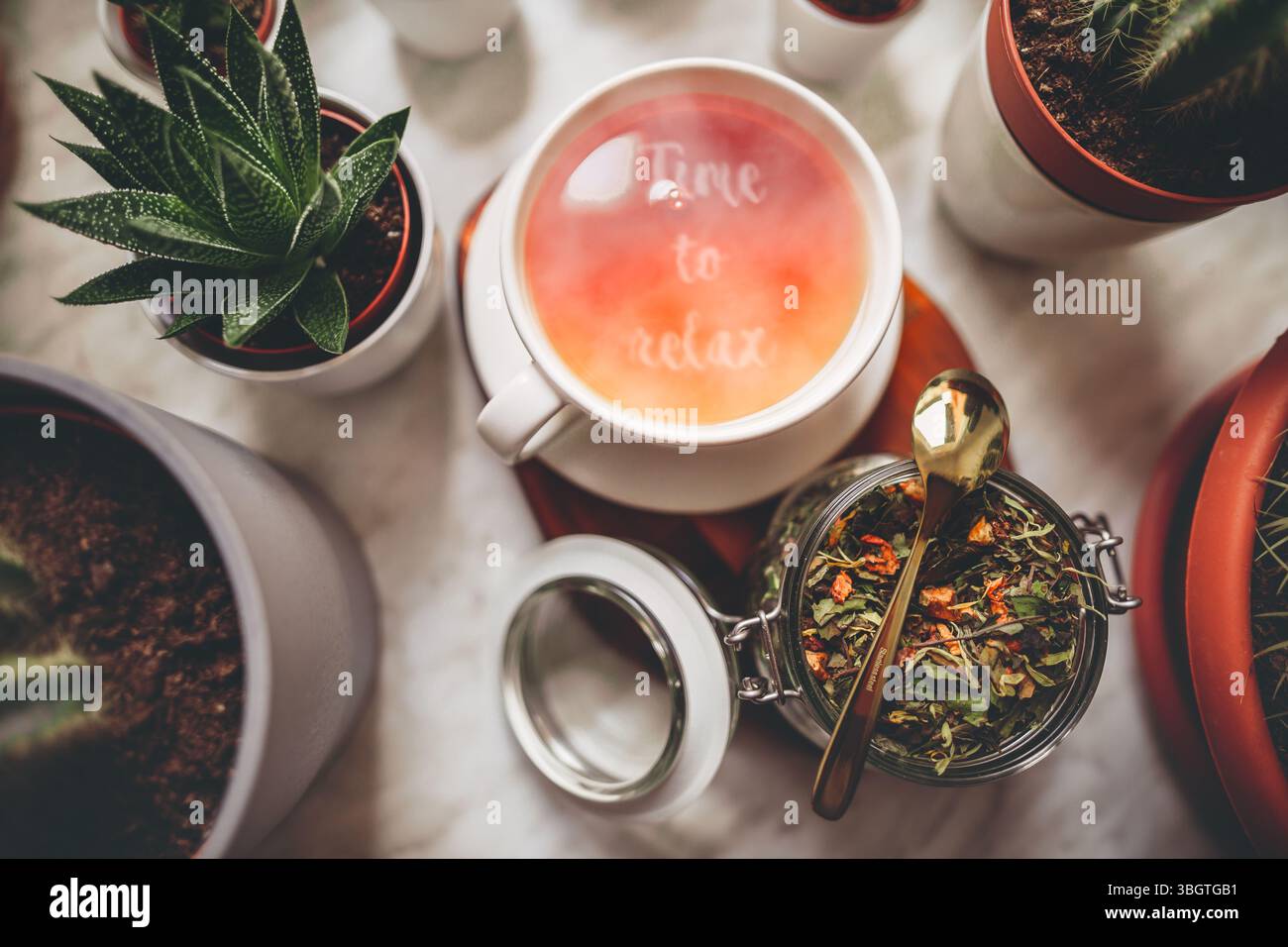 Vista dall'alto del tè alle erbe calmante in sacchetto di carta kraft con erbe aromatiche essiccate organiche, annidato tra succulente: Concetto ideale per guarire, tranquillità, na Foto Stock